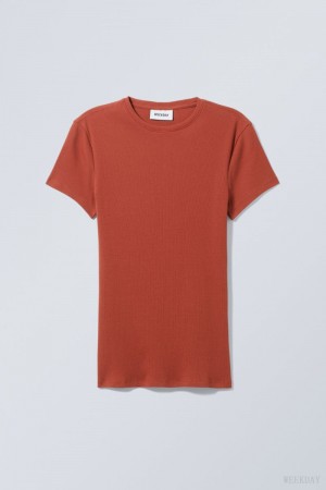 Weekday Close Fitted Rib T-Shirt Ciemny Pomarańczowe | TWRV1386