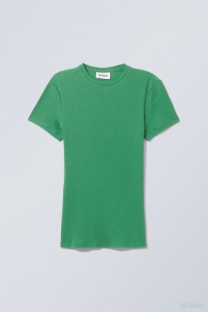 Weekday Close Fitted Rib T-Shirt Turkusowe Zielone | DODT8283