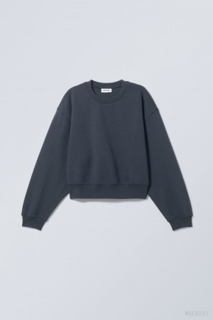 Weekday Crop Volume Sweatshirt Niebieskie | CFWB5931