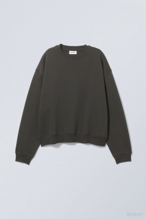 Weekday Essence Standard Sweatshirt Ciemny Szare | BYDO2990