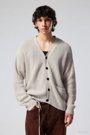 Weekday Jonas Regular Cardigan Beżowe | YVLQ5578