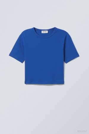 Weekday Mini Rib Crop Top Jasny Niebieskie | ZLTQ3404